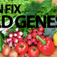 Illustration for article titled Eat Your Greens, Change Your Genes